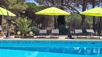 Seasonal outdoor pool, pool umbrellas, pool loungers