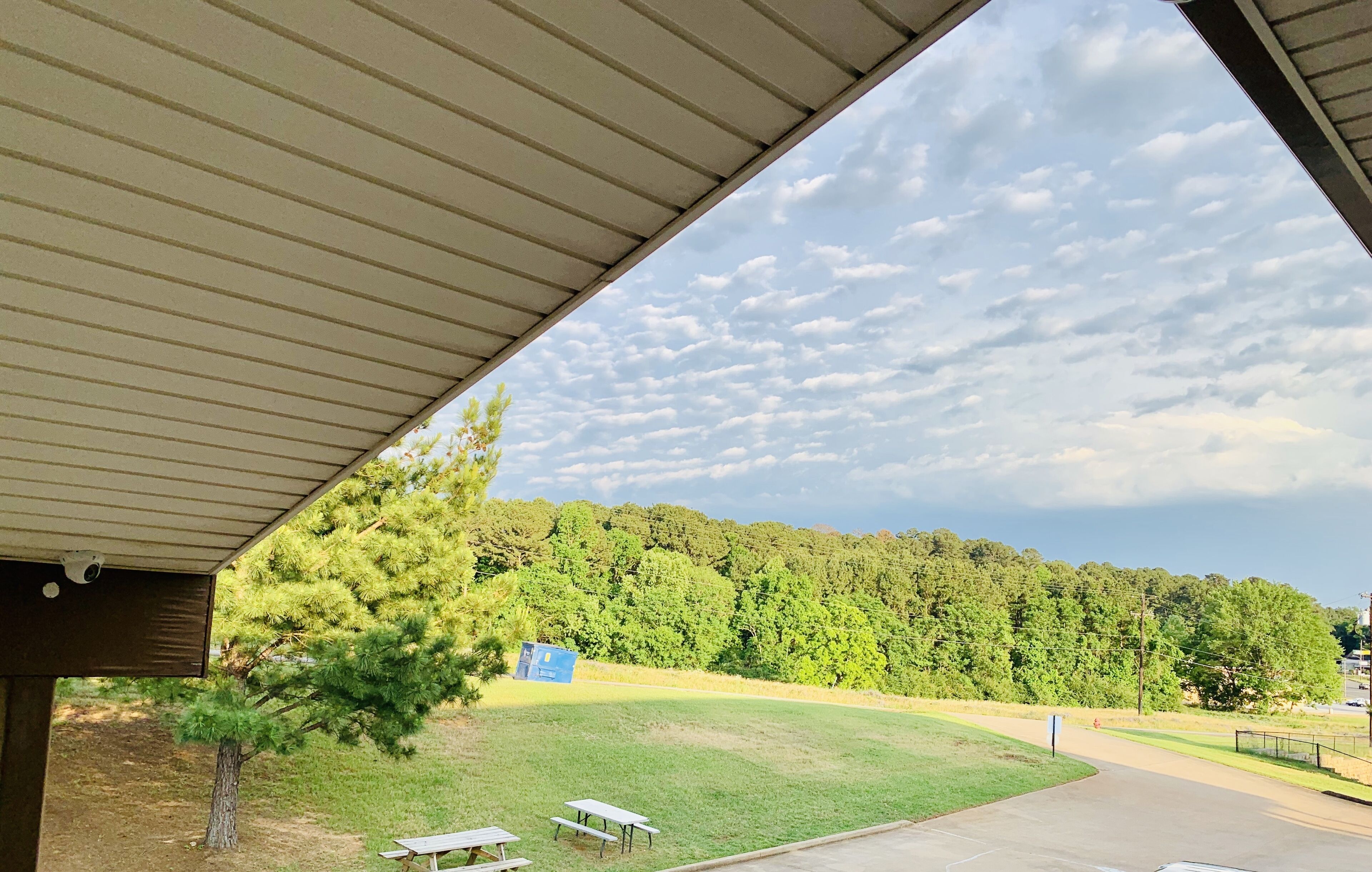 A covered outdoor area with picnic tables, a grassy field, and a forest in the background.