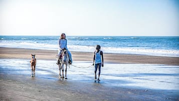 Horse riding