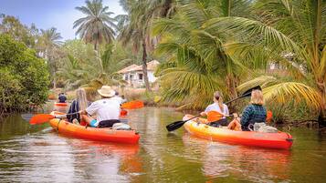 Un grupo de personas haciendo kayak en un río tranquilo rodeado de exuberante vegetación y palmeras.