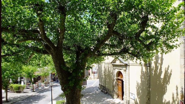 Une rue bordée d’arbres, avec un bâtiment doté d’une entrée en arc de cercle et d’une façade en pierre.