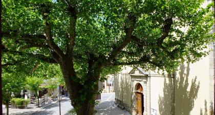 Appartement 1 coquet