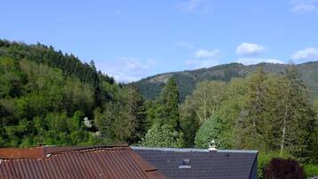 Una casa con tetto in lamiera, circondata da una fitta foresta e dolci colline.