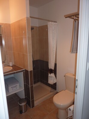 Regadera, secadora de cabello, jabón, papel de baño 