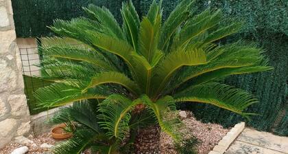 CASA COCO 8 Personen geschützter privater Pool mit Go, privater Parkplatz.