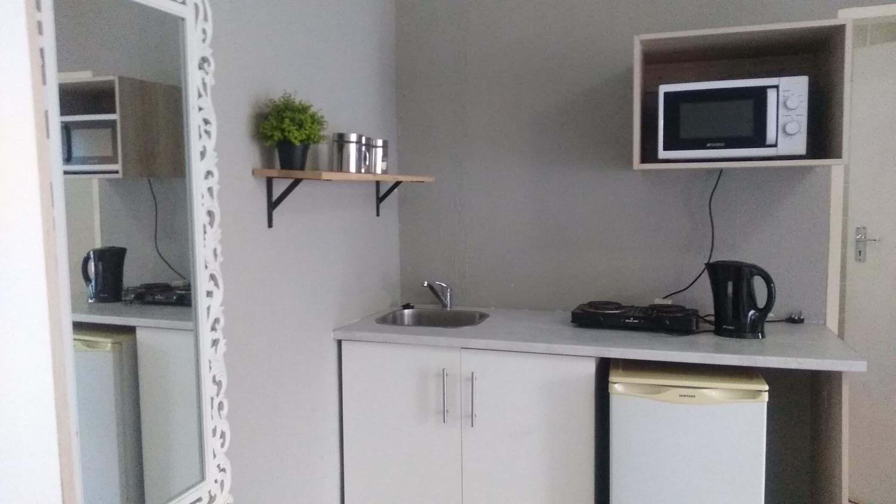 A compact kitchenette with a microwave, a sink, and a small shelf with a plant.