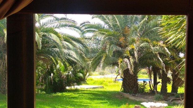 A view through a window of a well-maintained garden with palm trees, a brick pathway, and a grassy lawn. - Cozy Guestrooms in Midrand (Midrand)