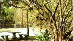 A garden with a stone bench, a tree, and a pathway. - Cozy Guestrooms in Midrand (Midrand)