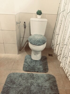 Séchoir à cheveux, serviettes fournies, papier de toilette
