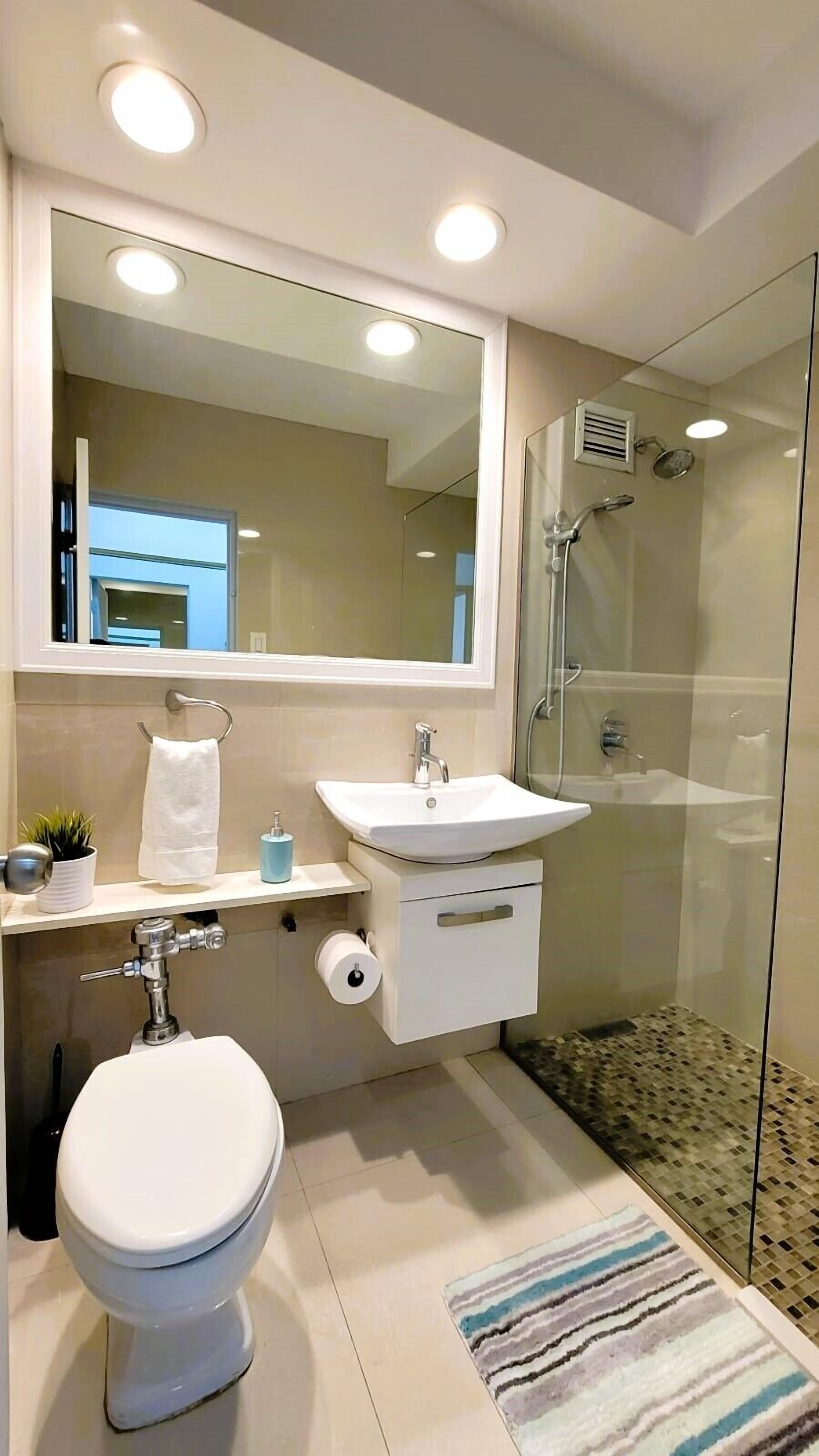 Ducha, secador de pelo, toallas, papel higiénico