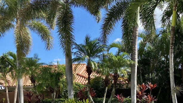 A swimming pool with a white lounge chair, surrounded by palm trees and a stone rock feature. - Paradise Palm Villa- SEE OUR NEW POOL AREA AND OUTDOOR KITCHEN!  (Naples)