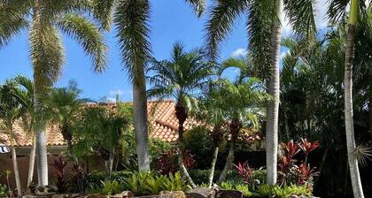Paradise Palm Villa- SEE OUR NEW POOL AREA AND OUTDOOR KITCHEN!