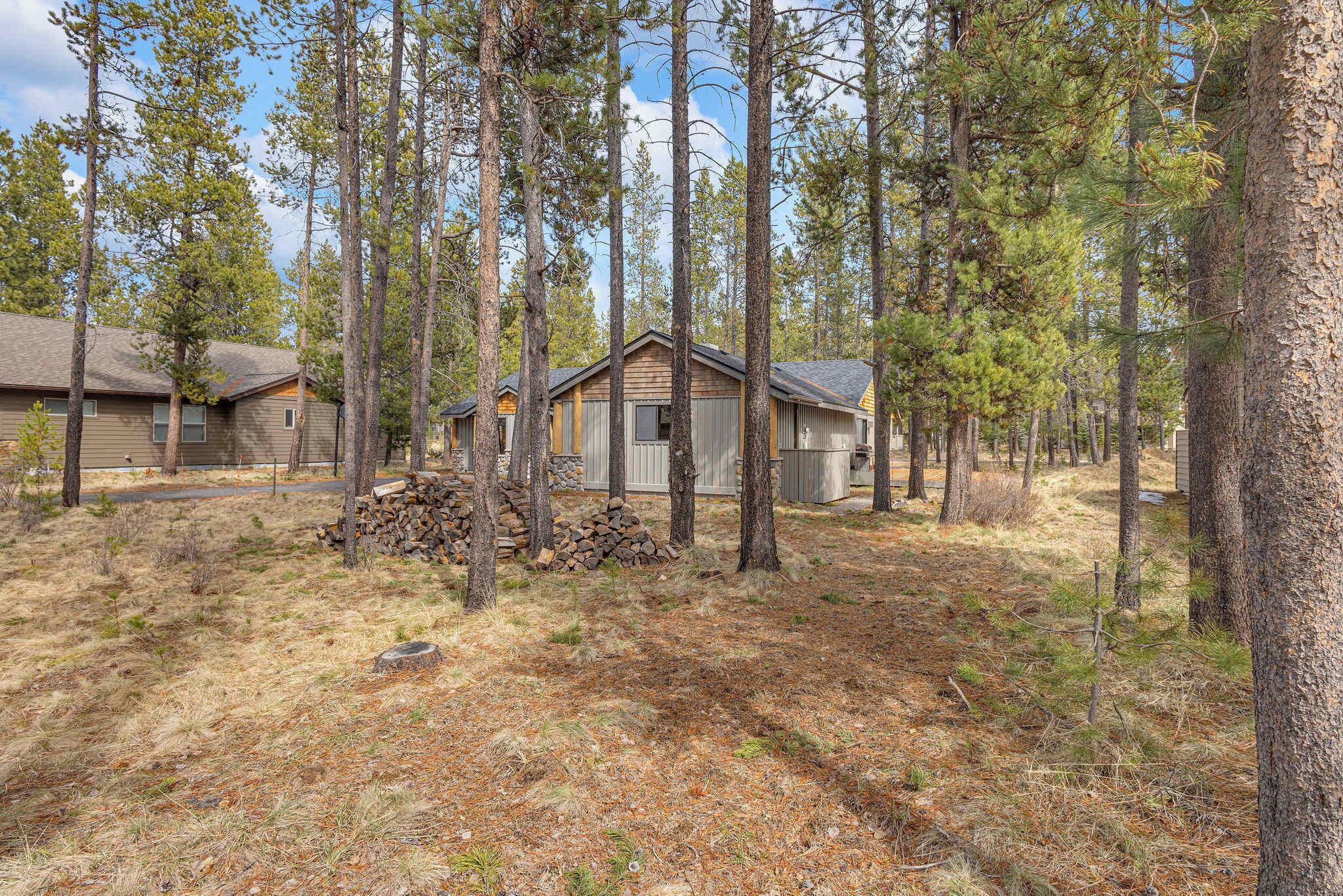 A cabin surrounded by tall pine trees with a clear sky.