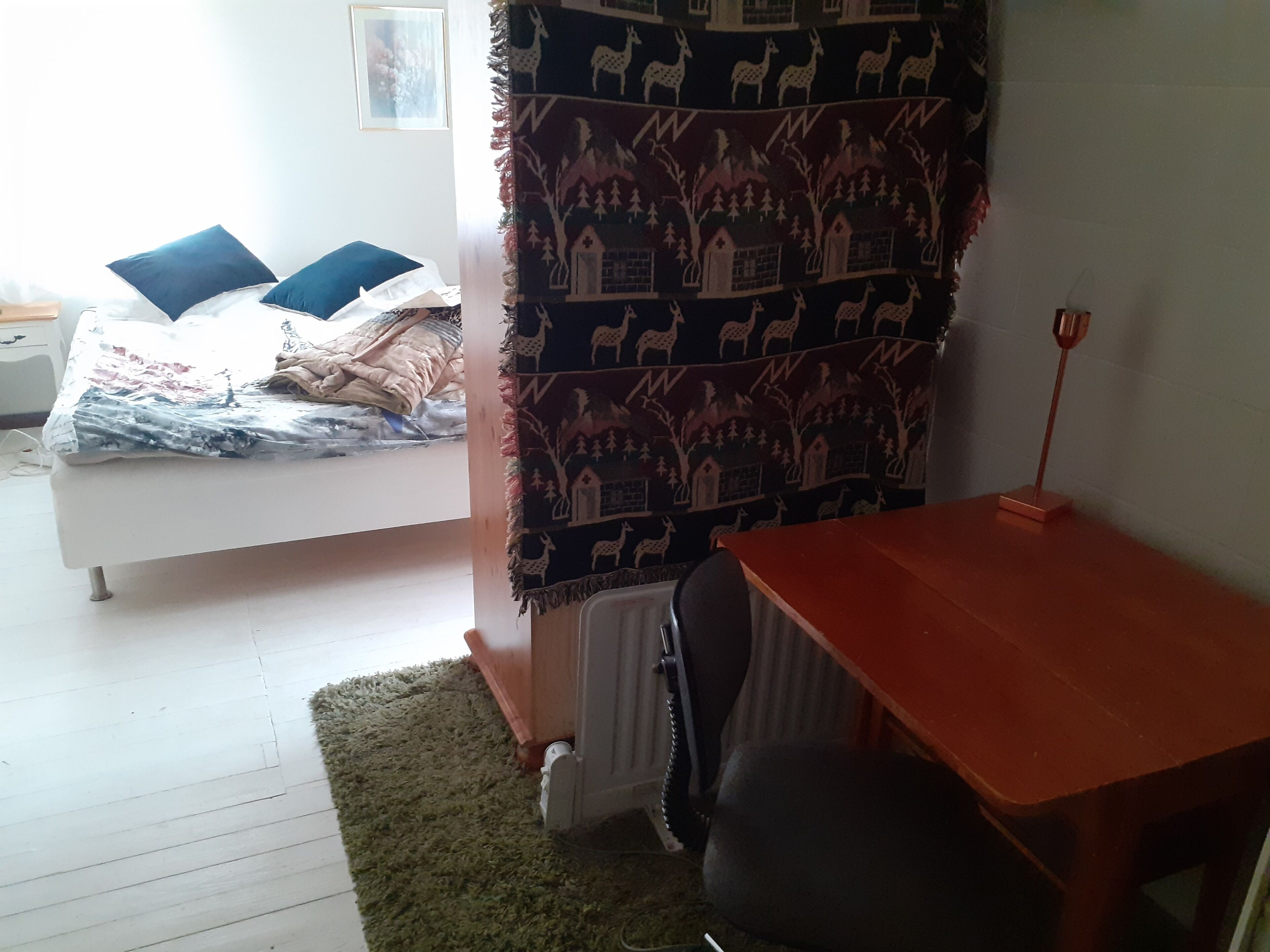 A bedroom with a bed, a desk, and a radiator.