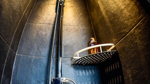 Ein modernes Badezimmer mit Dusche, Duschbrause und Handtuchhalter.