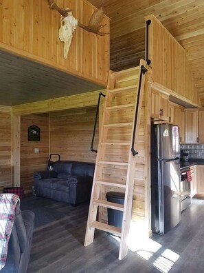 Smart TV, chimenea y libros