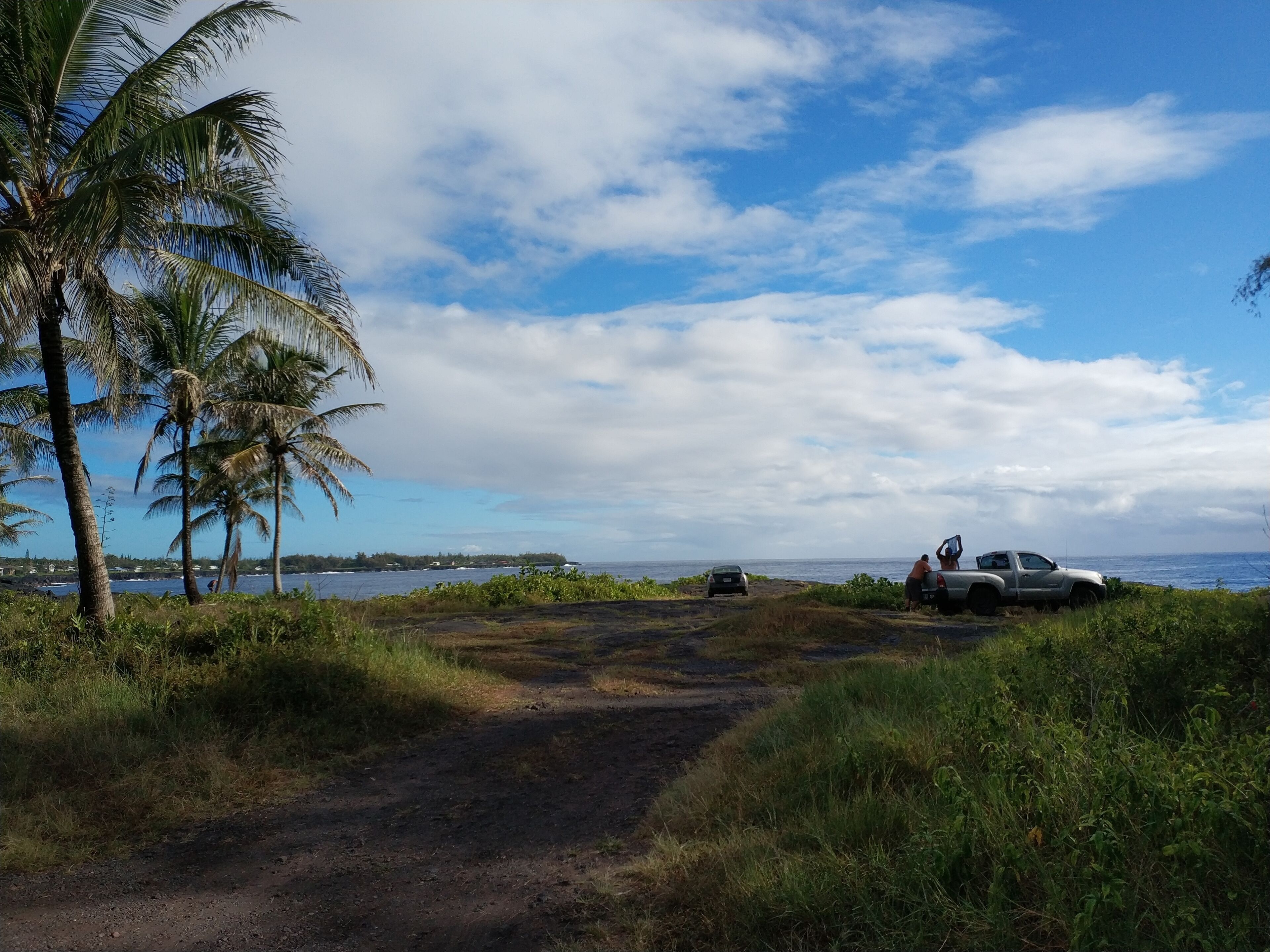 A dirt path leading to a beach with palm trees and a truck parked nearby.
