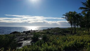 Et kystlandskab med klipper, palmer og en klar himmel.