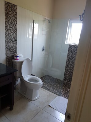 Combined shower/bathtub, towels