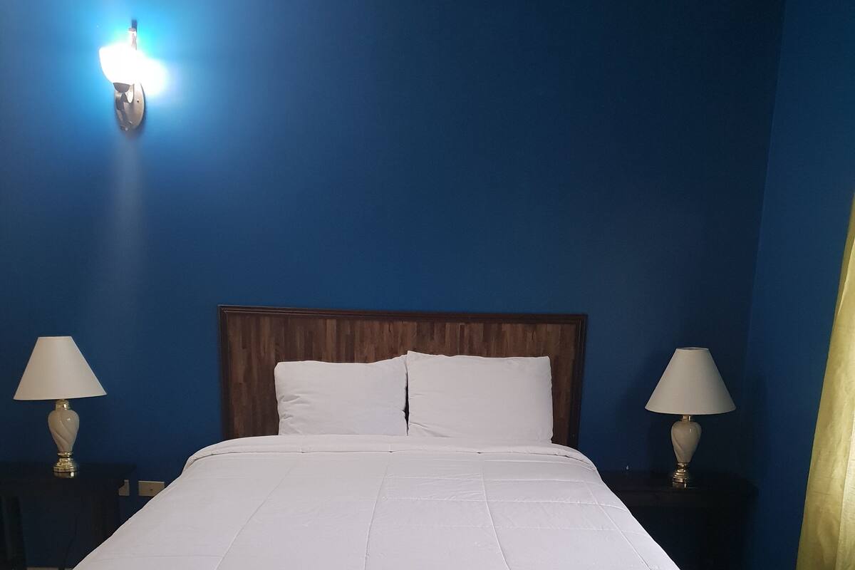 Minibar, iron/ironing board, free WiFi, bed sheets