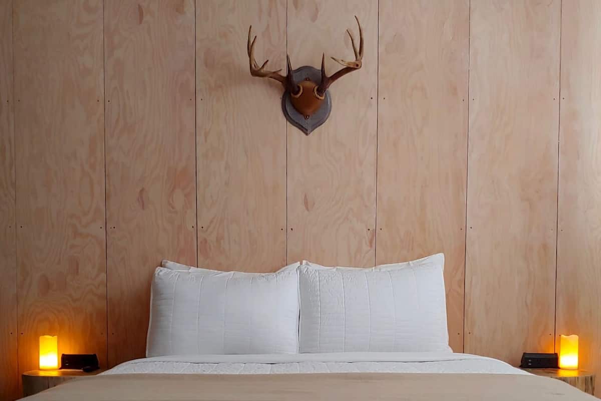 A bed with white bedding, two bedside lamps, and a mounted deer head on the wall.