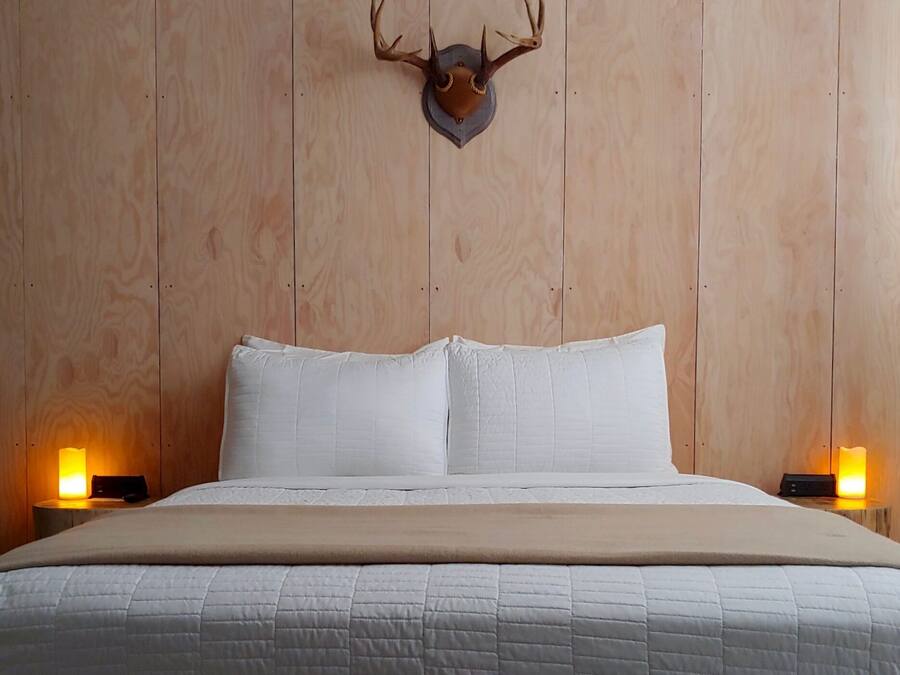Un lit avec une literie blanche, deux lampes de chevet et une tête de cerf fixée au mur.