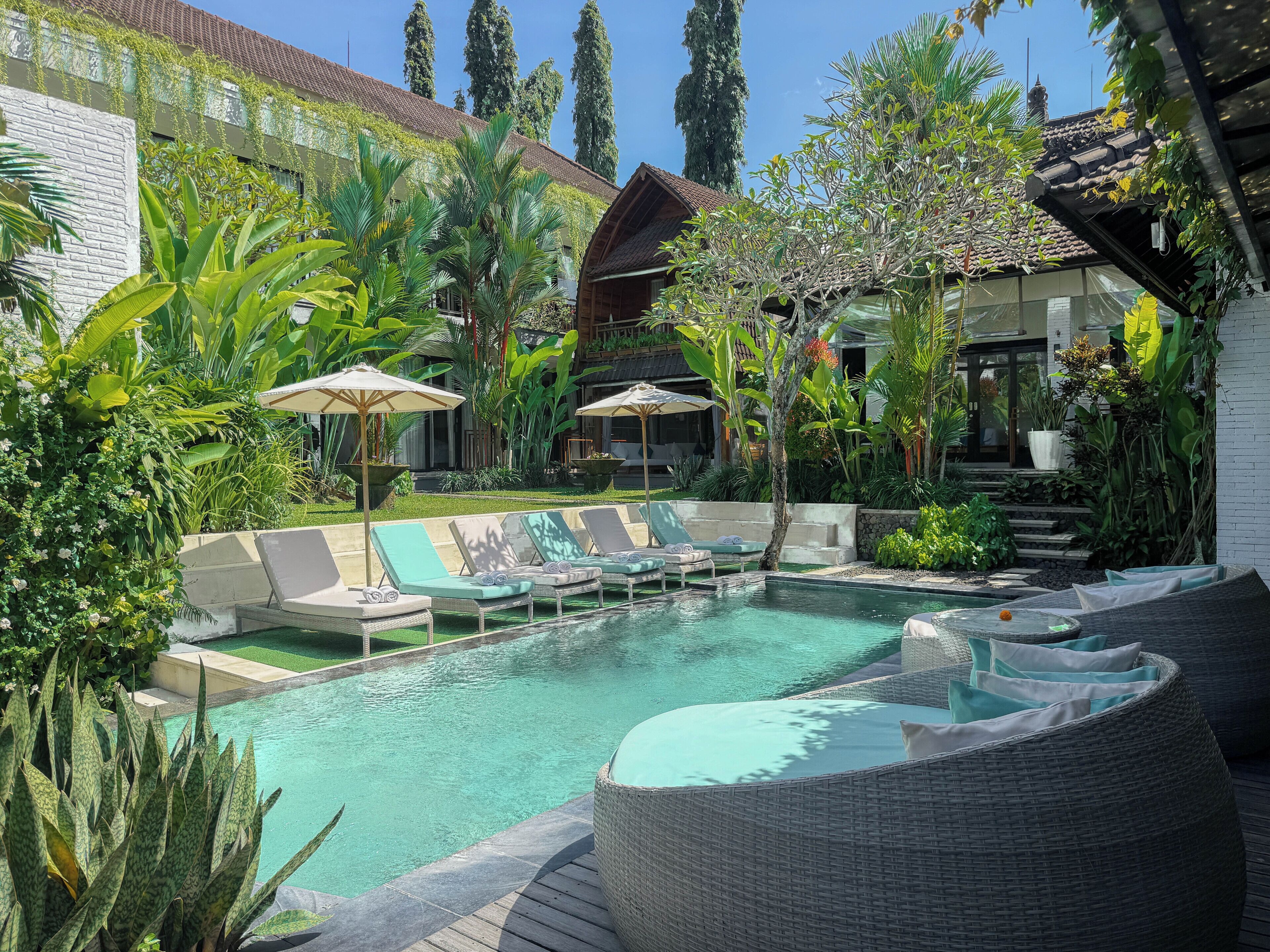 Outdoor pool, sun loungers