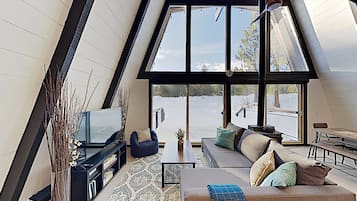 TV, fireplace, table football, books