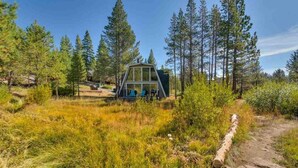 Une cabane au toit de verre, située dans une zone boisée, avec une terrasse en bois et un chemin dégagé menant à l’entrée.