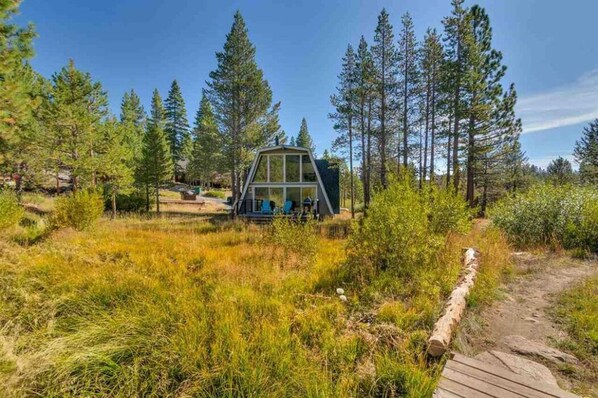 Une cabane au toit de verre, située dans une zone boisée, avec une terrasse en bois et un chemin dégagé menant à l’entrée.