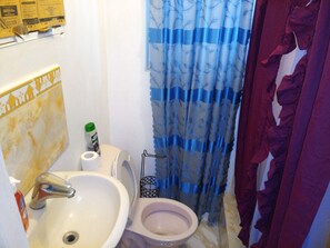 Basic Studio | Bathroom | Shower, towels, soap, shampoo - Cornwall Courts Apartment (Montego Bay)