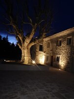 Un edificio de piedra con un gran árbol en primer plano, iluminado con luz artificial.