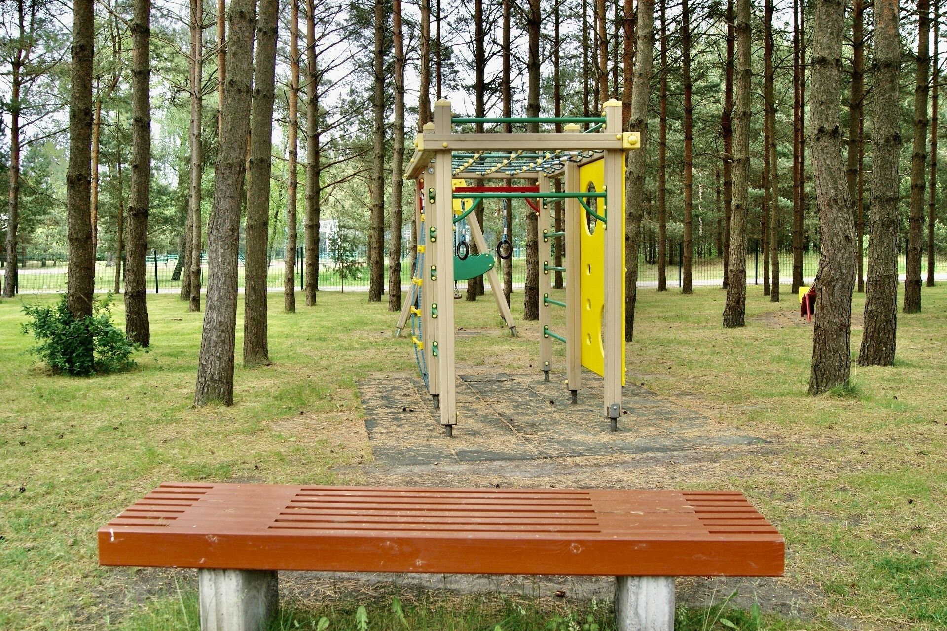 A playground with a climbing structure and a bench in a forested area.