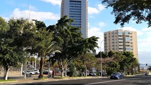 Botón de imagen sin clasificar, 5 de 14