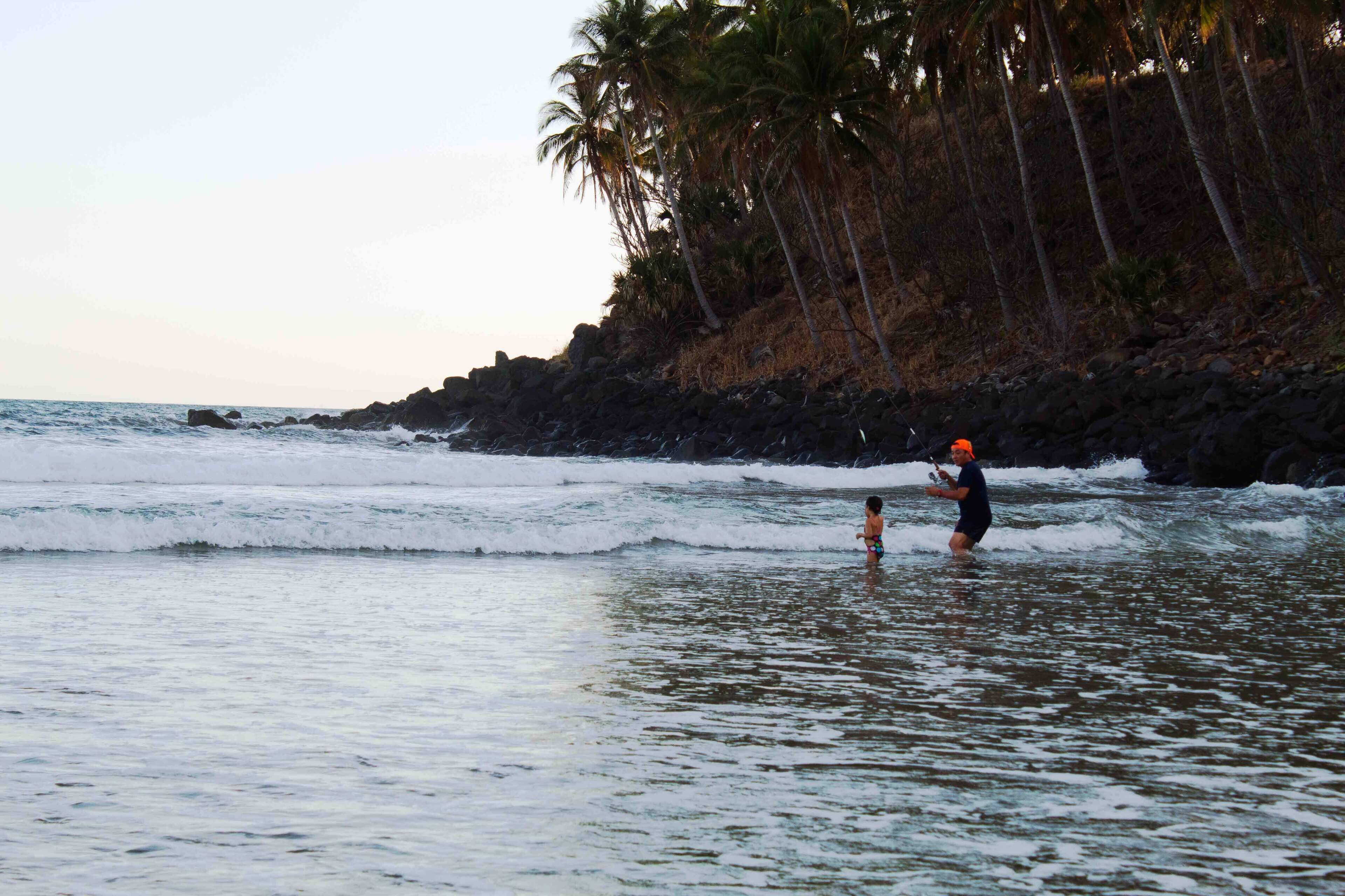 A beach scene with waves, a person in the water, and palm trees in the background.