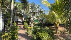 Un jardin agrémenté de palmiers, un sentier et des espaces de détente en plein air.