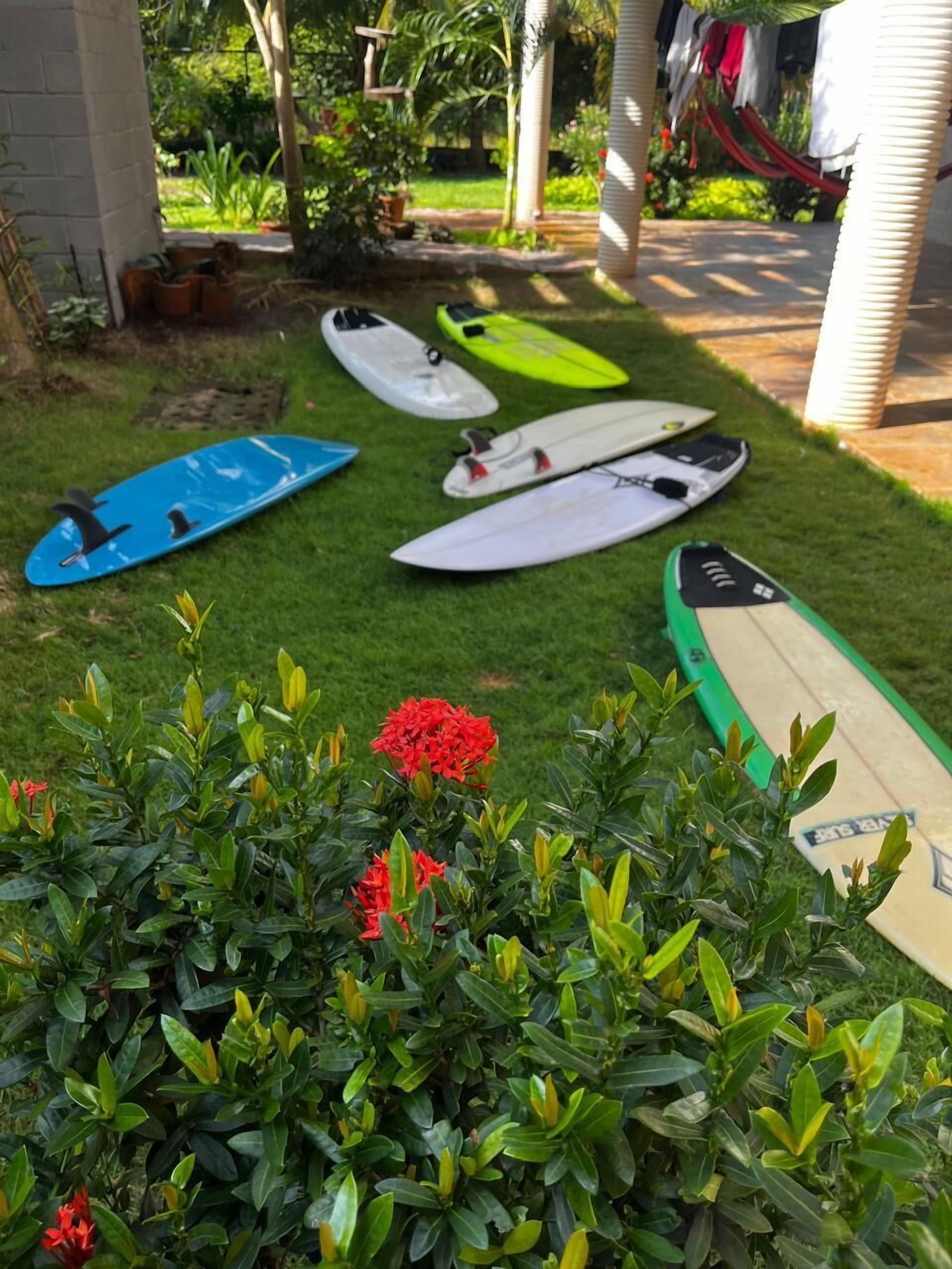 A garden with various surfboards arranged on the grass.