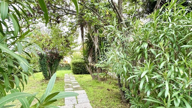 Un chemin de pierres serpente à travers un jardin luxuriant, où l’on trouve une variété de plantes et d’arbres verdoyants.
