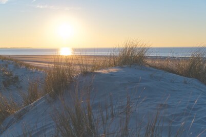 NEW: Child-friendly holiday home, bicycles & handcart, 300m to the beach