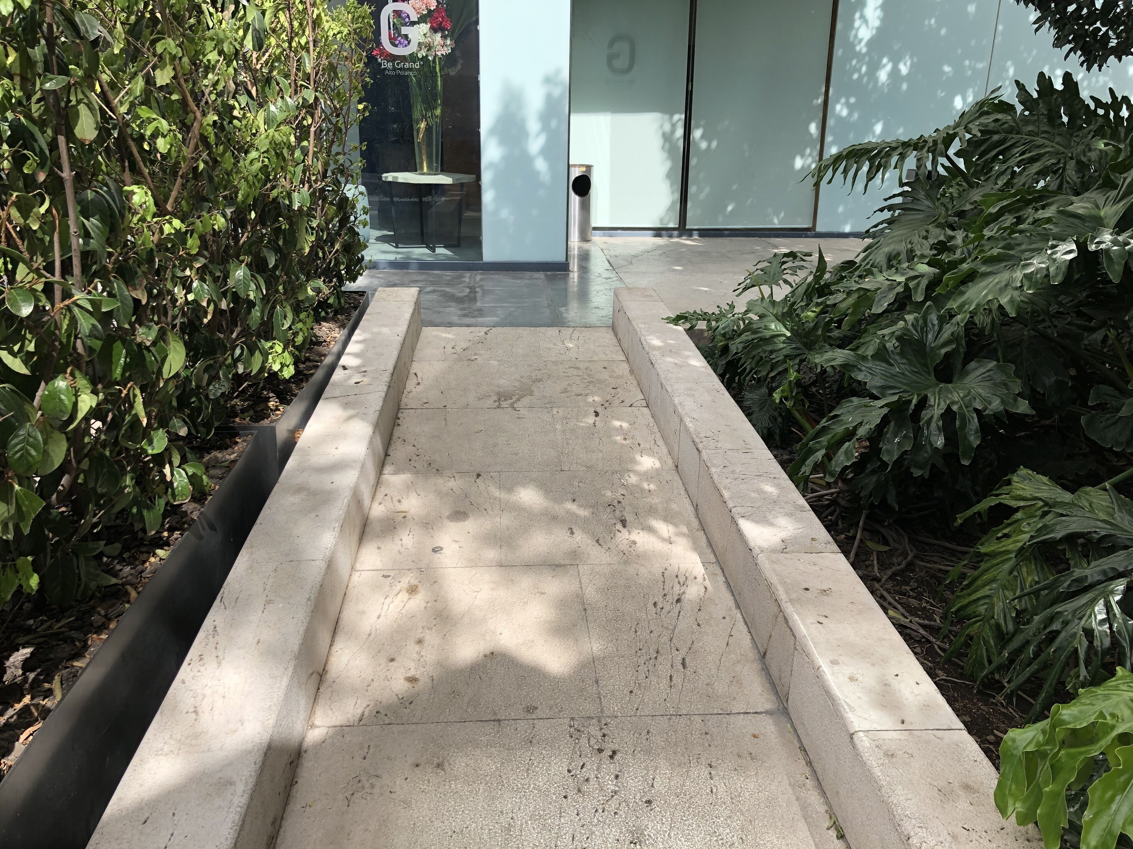 A pathway leading to a building with a glass door, surrounded by greenery and a concrete border.
