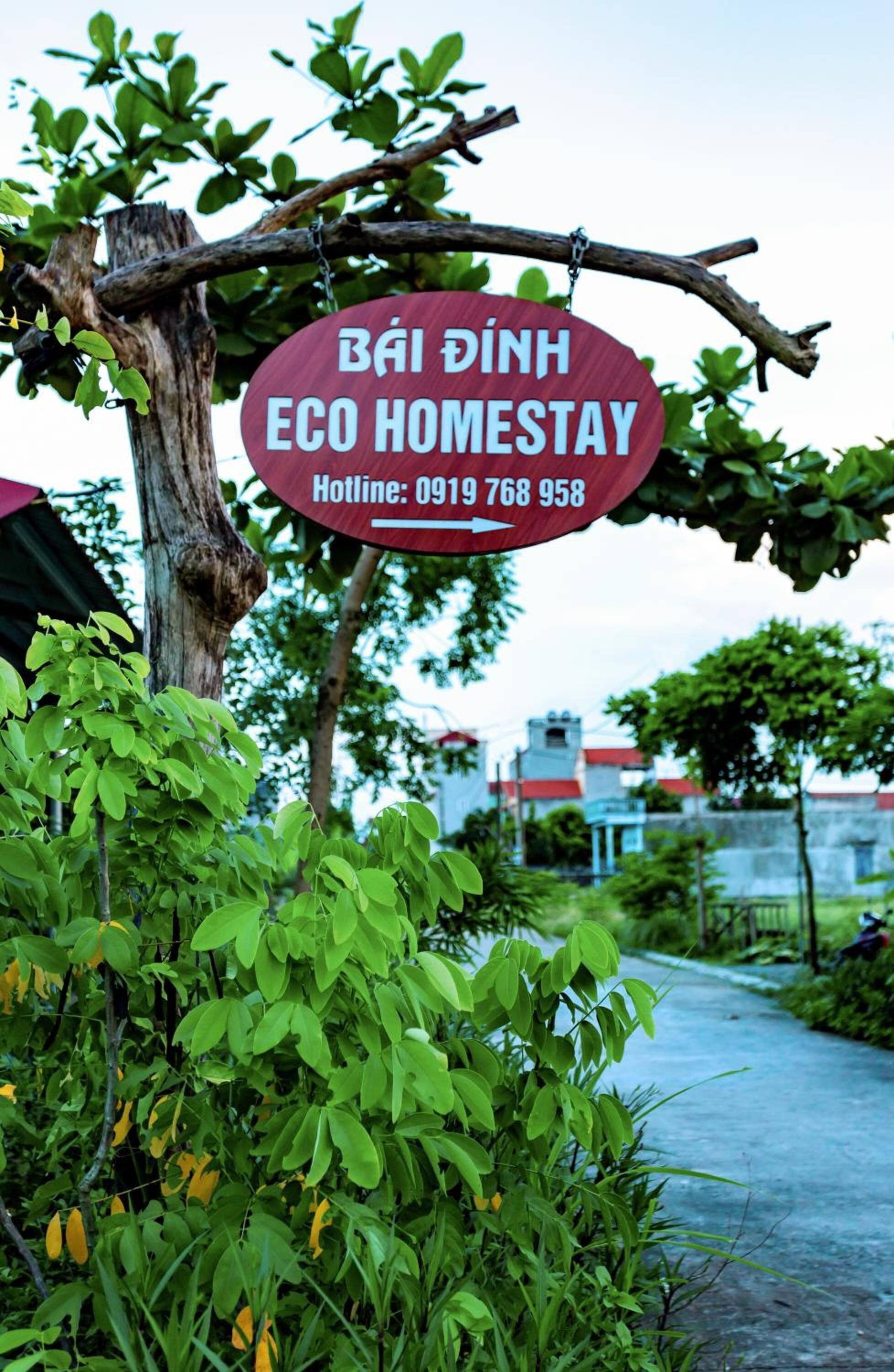 A sign for Bái Dinh Eco Homestay with a contact number.