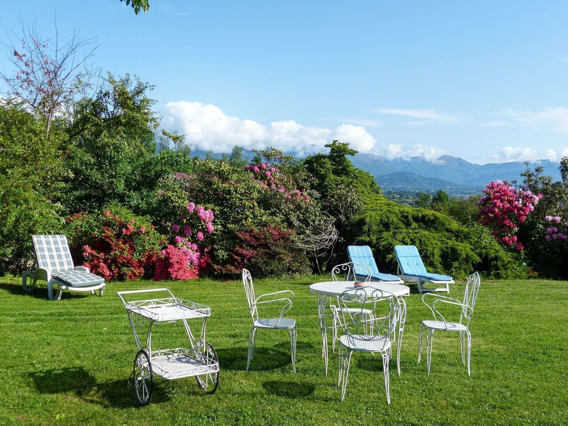 A garden with outdoor seating, including metal chairs and a table, surrounded by lush greenery and flowering bushes.