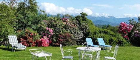 A garden with outdoor seating, including metal chairs and a table, surrounded by lush greenery and flowering bushes.