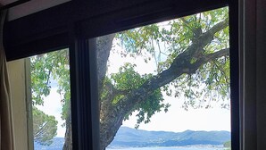 Blick durch ein Fenster auf einen Baum und eine geflieste Terrasse.