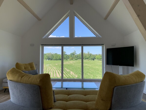 تلفزيون ذكي، كُتُب