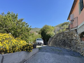 المنطقة المحيطة بالمنشأة