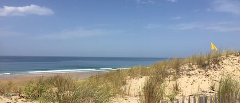 Plage à proximité, chaises longues, serviettes de plage