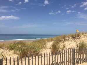 Nära stranden, solstolar och strandhanddukar