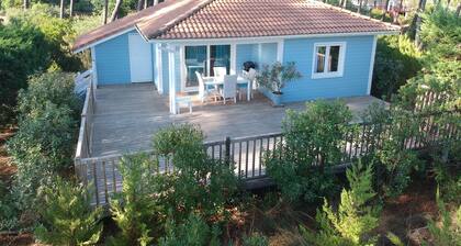 Chalet Colibri, naturist facility La Jenny, Atlantic coast