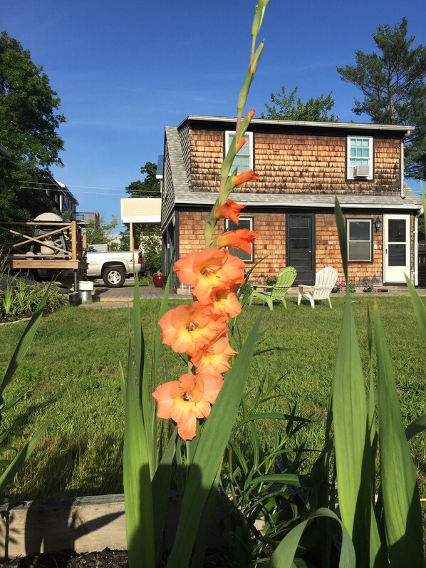 A house with a brick exterior, a front yard with grass, and a truck parked in the driveway.